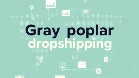 dropshipping graypoplar