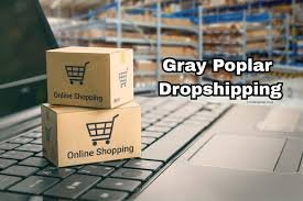 Gray Poplar Dropshipping